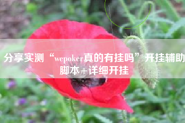 分享实测“wepoker真的有挂吗”开挂辅助脚本+详细开挂