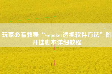 玩家必看教程“wepoker透视软件方法”附开挂脚本详细教程