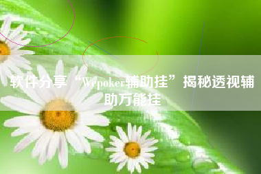 软件分享“Wepoker辅助挂	”揭秘透视辅助万能挂