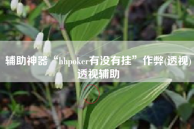 辅助神器“hhpoker有没有挂”作弊(透视)透视辅助