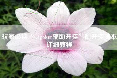 玩家必读“wepoker辅助开挂”附开挂脚本详细教程