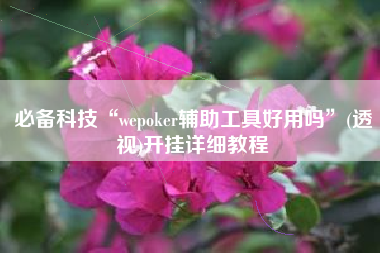 必备科技“wepoker辅助工具好用吗”(透视)开挂详细教程