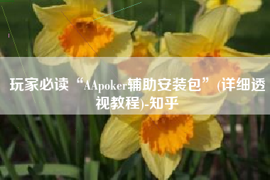 玩家必读“AApoker辅助安装包”(详细透视教程)-知乎
