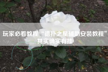 玩家必看教程“德扑之星辅助安装教程”其实确实有挂