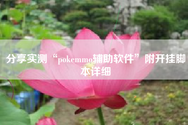 分享实测“pokemmo辅助软件”附开挂脚本详细