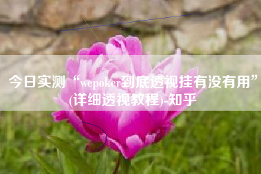 今日实测“wepoker到底透视挂有没有用”(详细透视教程)-知乎