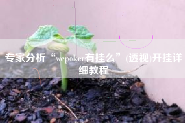 专家分析“wepoker有挂么”(透视)开挂详细教程