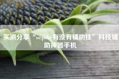 实测分享“wepoke有没有辅助挂”科技辅助神器手机