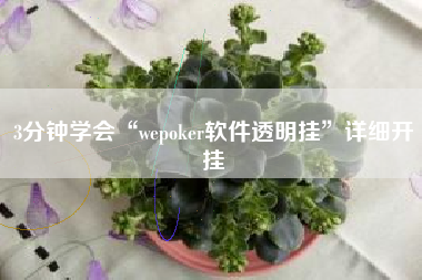 3分钟学会“wepoker软件透明挂”详细开挂