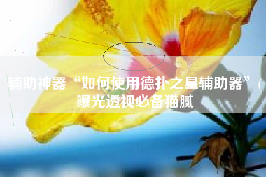 辅助神器“如何使用德扑之星辅助器”(曝光透视必备猫腻