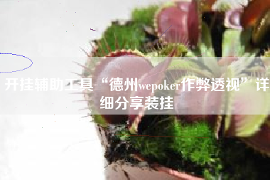 开挂辅助工具“德州wepoker作弊透视	”详细分享装挂