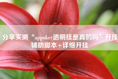 分享实测“appoker透明挂是真的吗”开挂辅助脚本+详细开挂