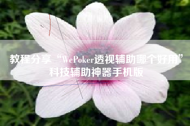 教程分享“WePoker透视辅助哪个好用	”科技辅助神器手机版
