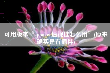 可用版本“appoker透视挂怎么用	”(原来确实是有插件)