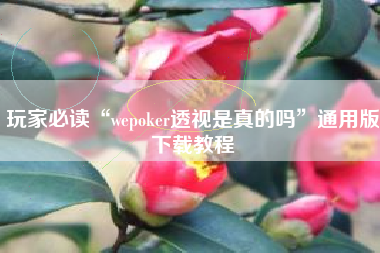 玩家必读“wepoker透视是真的吗”通用版下载教程