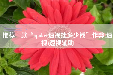 推荐一款“apoker透视挂多少钱	”作弊(透视)透视辅助