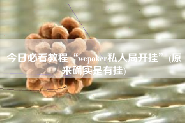 今日必看教程“wepoker私人局开挂”(原来确实是有挂)