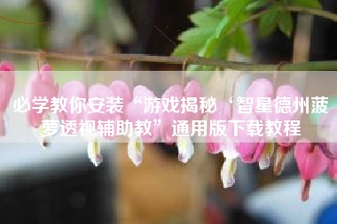 必学教你安装“游戏揭秘‘智星德州菠萝透视辅助教”通用版下载教程