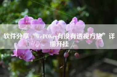 软件分享“WePOKer有没有透视方法”详细开挂 软件分享“WePOKer有没有透视方法”详细开挂