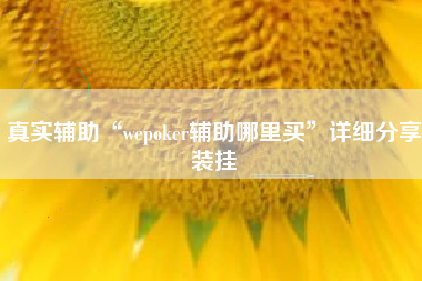真实辅助“wepoker辅助哪里买”详细分享装挂