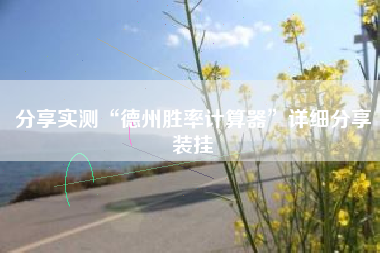 分享实测“德州胜率计算器	”详细分享装挂