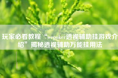 玩家必看教程“wepoker透视辅助挂游戏介绍”揭秘透视辅助万能挂用法