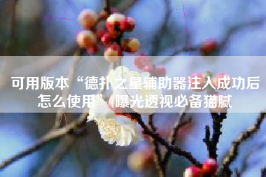 可用版本“德扑之星辅助器注入成功后怎么使用”(曝光透视必备猫腻