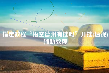 指定教程“悟空德州有挂吗”开挂(透视)辅助教程