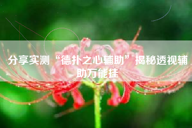 分享实测“德扑之心辅助	”揭秘透视辅助万能挂