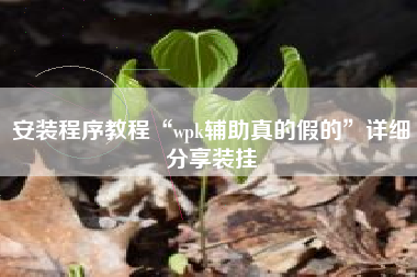 安装程序教程“wpk辅助真的假的	”详细分享装挂