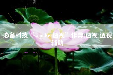 必备科技“wepoKer透视”作弊(透视)透视辅助