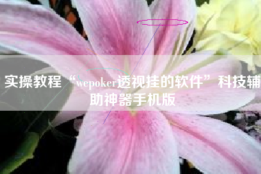 实操教程“wepoker透视挂的软件	”科技辅助神器手机版