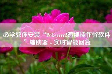必学教你安装“Pokerrrr2透视挂作弊软件	”辅助器 - 实时智能回复