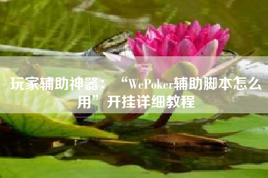 玩家辅助神器:“WePoker辅助脚本怎么用”开挂详细教程 玩家辅助神器:“WePoker辅助脚本怎么用”开挂详细教程