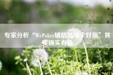 专家分析“WePoker辅助器哪个好用”其实确实有挂