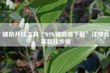 辅助开挂工具“WPK辅助器下载”详细分享装挂步骤