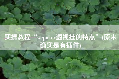 实操教程“wepoker透视挂的特点	”(原来确实是有插件)