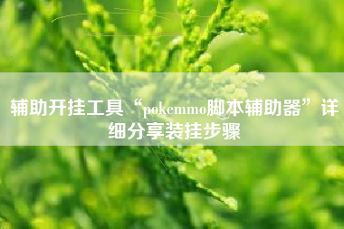 辅助开挂工具“pokemmo脚本辅助器”详细分享装挂步骤