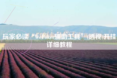 玩家必读“WePoker辅助工具”(透视)开挂详细教程
