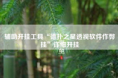 辅助开挂工具“德扑之星透视软件作弊挂”详细开挂