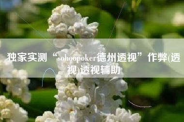 独家实测“sohoopoker德州透视”作弊(透视)透视辅助
