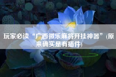 玩家必读“广西微乐麻将开挂神器”(原来确实是有插件)