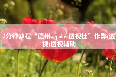 3分钟教程“德州wepoker透视挂”作弊(透视)透视辅助