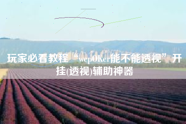 玩家必看教程“wepOKer能不能透视”开挂(透视)辅助神器