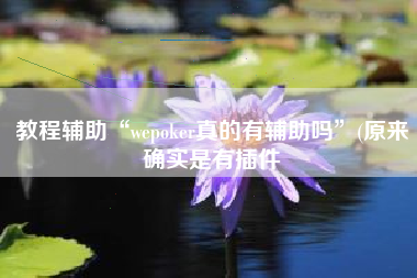 教程辅助“wepoker真的有辅助吗”(原来确实是有插件