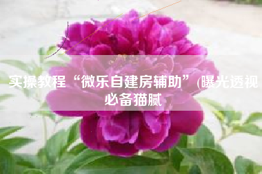 实操教程“微乐自建房辅助”(曝光透视必备猫腻