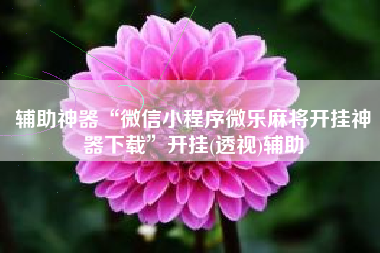 辅助神器“微信小程序微乐麻将开挂神器下载”开挂(透视)辅助