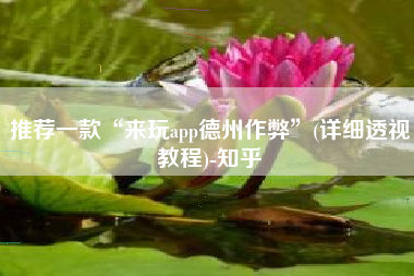推荐一款“来玩app德州作弊”(详细透视教程)-知乎