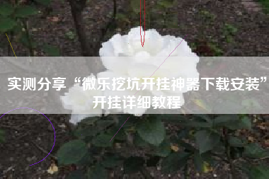 实测分享“微乐挖坑开挂神器下载安装	”开挂详细教程