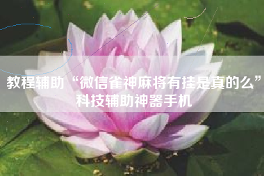 教程辅助“微信雀神麻将有挂是真的么”科技辅助神器手机